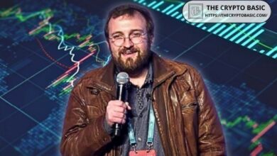 مؤسس كاردانو يرحب بإطلاق مشروع ميدنايت على منصة بينانس ألفا