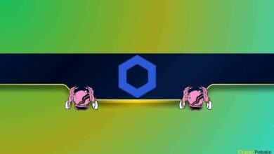 الحيتان تستحوذ على 4.73 مليون LINK في يومين فقط: هل يحضر سعر Chainlink لصعود كبير؟