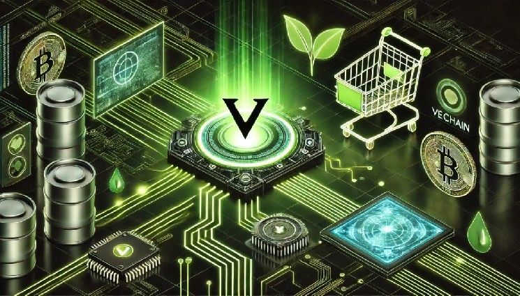 مستخدمو VeChain يمكنهم الآن تحويل ETH وUSDT وUSDC إلى شبكة Arbitrum