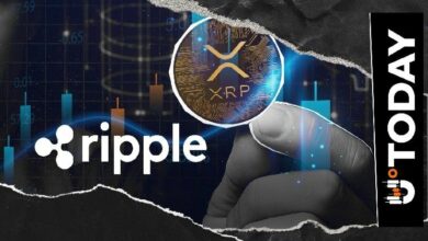 مسؤول في Ripple يوضح رؤية XRP في حدث Solana: التفاصيل الكاملة