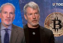 شيف يسخر من استراتيجية سايلور "اشترِ كل بيتكوين"