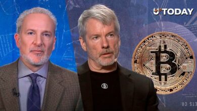 شيف يسخر من استراتيجية سايلور "اشترِ كل بيتكوين"