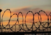 الإمارات تسلّم المؤسس المشارك لـ"فينيكو" مخطط بونزي المالي للسلطات الروسية