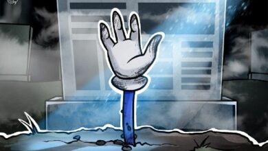 عملات الميم ستعود للحياة ولكن بشكل جديد: تنبؤات من مسؤول في قطاع العملات الرقمية