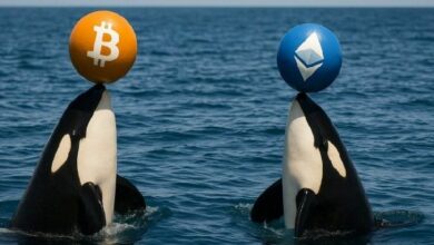 محافظ إيثريوم خاملة منذ فترة طويلة وحائزون رئيسيون للبيتكوين ينقلون أموالهم قبل اجتماع الاحتياطي الفيدرالي