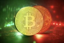 بيتكوين تواجه خطر إنهاء العام على انخفاض لأول مرة منذ 2022! توقعات المحللين وتفاصيل السوق