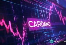 هل سيرتفع سعر كاردانو مع إطلاق عملة NIGHT تزامناً مع إطلاق شبكة ميدنايت؟
