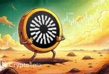 شبكة مانتل تهدأ بعد عمليات جني الأرباح تلي ارتفاعاً قوياً بنسبة 7%