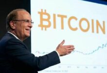 الرئيس التنفيذي لـ BlackRock يكشف معلومات حصرية عن البيتكوين: "صناديق ثروة سيادية اشترت خلال الهبوط الأخير"