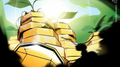 بيث تطلق صندوق احتياطي عبر عمليات إعادة شراء من أموال خزانة DAO