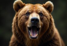 إيثريوم يهبط تحت 3 آلاف دولار رغم استحواذ بيتماين الجديد: توقعات السعر