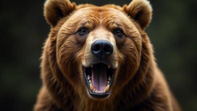 إيثريوم يهبط تحت 3 آلاف دولار رغم استحواذ بيتماين الجديد: توقعات السعر