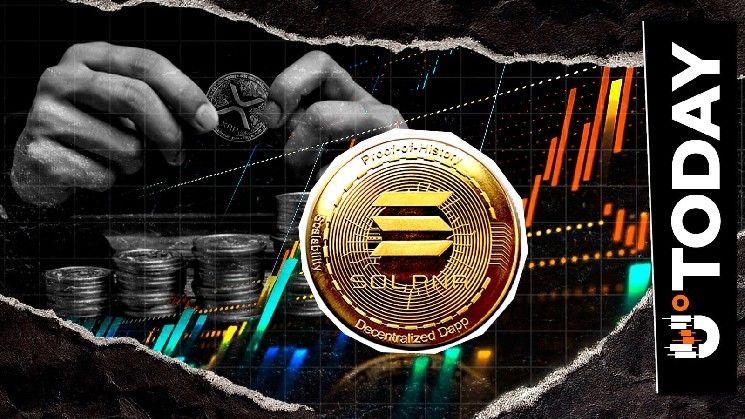 انقسام في مجتمع XRP حول ما إذا كانت سولانا هي الأفضل