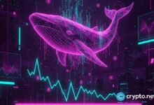 حيتان الدوجكوين تهدأ.. والمتداولون يتساءلون: هل فقد العملة قيمتها؟