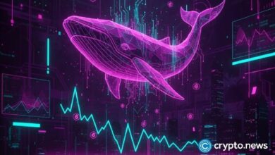 حيتان الدوجكوين تهدأ.. والمتداولون يتساءلون: هل فقد العملة قيمتها؟