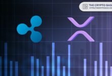 بحث DAS: ريبل تضع XRP كبنية تحتية رئيسية للمدفوعات العالمية
