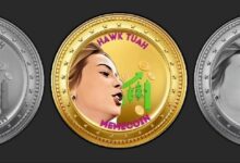 فتاة "هاوك تواه" وهايلي ويلش و"ميتيورا" يُسحبون كمتهمين في دعوى قضائية