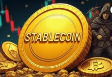 هيئة التحقيق الهندية تحذر: المهربون يفضلون العملات المستقرة على شبكات الحوالة التقليدية