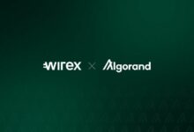 وايركس وألجوراند يوسعان مدفوعات العملات المستقرة عبر دمج USDC الجديد