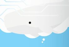 تجميد MEXC وضغط HyperLiquid: حوت الأبيض بقيمة 63 مليون دولار في قصة مثيرة