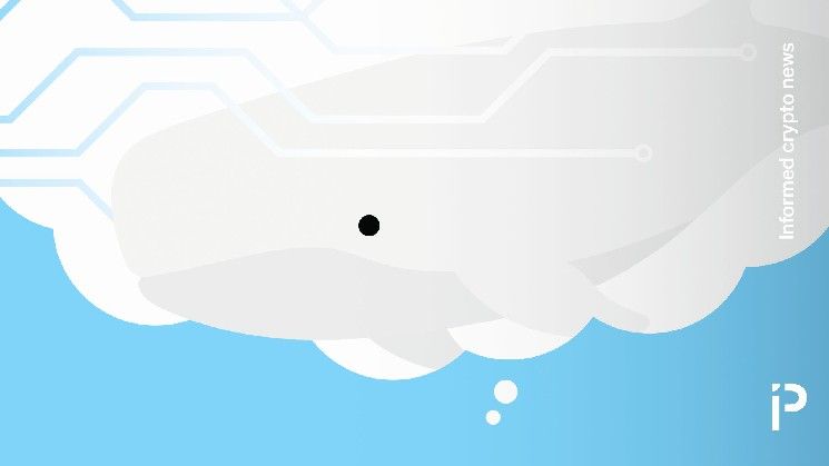 تجميد MEXC وضغط HyperLiquid: حوت الأبيض بقيمة 63 مليون دولار في قصة مثيرة