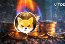 حرق عملة شيبا إينو يقفز ١٥٦٧٪ في عودة مثيرة: ما الخطوة التالية لـ SHIB؟