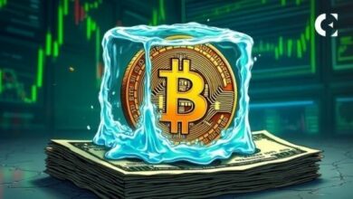 مقتنيات الكيانات الكبرى من البيتكوين تبلغ 6 ملايين: لماذا لا يزال السعر دون 100 ألف دولار؟