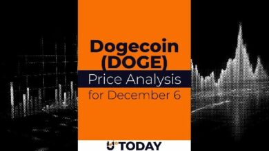 تحليل سعر عملة دوج كوين (DOGE) في 6 ديسمبر