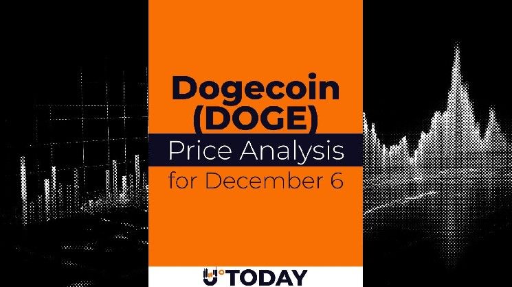 تحليل سعر عملة دوج كوين (DOGE) في 6 ديسمبر