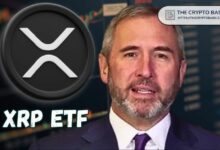 صناديق XRP الاستثمارية تقترب من مليار دولار وسط تصريحات رئيس ريبل: "ما زلنا في البداية"