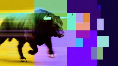 إنتركتيف بروكرز تبدأ قبول العملات المستقرة لتعزيز قدرتها التنافسية