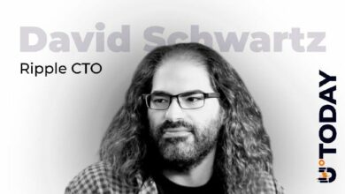 لماذا يضاعف كبير التقنيين في ريبل تركيزه على شبكة إكس آر بي: ثلاثة محركات رئيسية