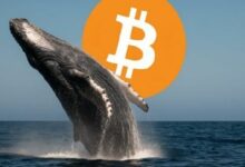 عملاق البيتكوين يودع 5,152 بيتكوين بقيمة 445 مليون دولار في منصة بينانس