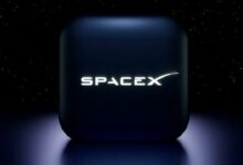 ثروة إيلون ماسك تبلغ مستوى قياسياً جديداً عند 684 مليار دولار وتقيم SpaceX بـ 800 مليار دولار
