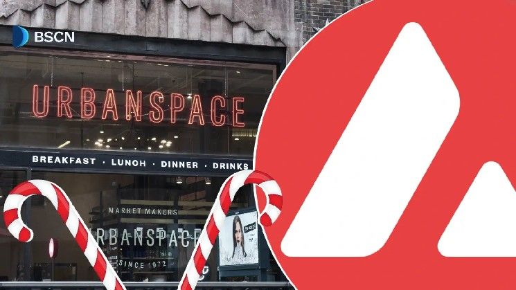 أفالانش تقدم مدفوعات بالعملات المستقرة لأقدم سوق عطلات في نيويورك