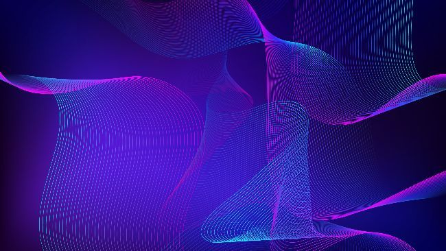 إطلاق وصول رمزي لشركة سبيس إكس على شبكة بلوم