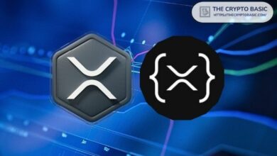 خبير بارز يسخر من مزاعم استبدال المؤسسات الكبيرة لعملة XRP