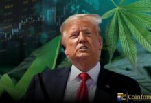 أسهم القنب الأمريكية تقفز بعد أخبار إعادة التصنيف الفيدرالي