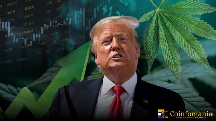 أسهم القنب الأمريكية تقفز بعد أخبار إعادة التصنيف الفيدرالي