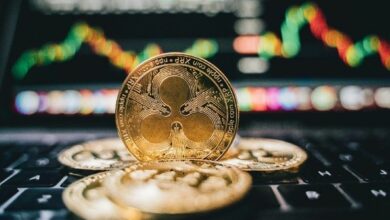 تنبيه للحيتان حول XRP – ظهور بيانات شديدة الأهمية، إليكم التفاصيل