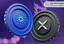 مؤسس كاردانو: 99% من العملات المشفرة تفشل، و ADA و XRP تبرزان كناجحين منذ عقد