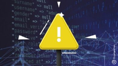 لماذا قد يكون $PIPPIN قنبلة موقوتة على وشك الانفجار؟