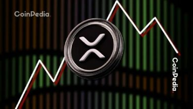 توقعات سعر XRP اليوم مع تحرك اليابان لهز الأسواق العالمية