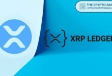 ارتفاع هائل بنسبة 7,924٪ في معاملات حساب XRP
