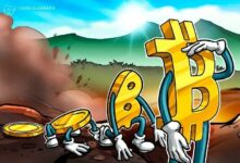 شركات خزينة البيتكوين تدخل "مرحلة داروينية" مع انهيار الأقساط: تقرير جالاكسي