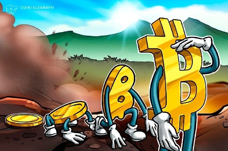 شركات خزينة البيتكوين تدخل "مرحلة داروينية" مع انهيار الأقساط: تقرير جالاكسي