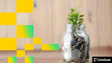 "YO Labs" تجمع 10 ملايين دولار لتطوير بروتوكول تحسين العائد عبر سلاسل الكتل