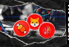 مسؤول في شيبا إنو يتحدث عن SHIB وBONE وLEASH: "الفترات الأكثر قتامة تنتهي حتمًا" - U.Today