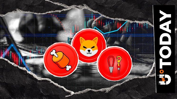 مسؤول في شيبا إنو يتحدث عن SHIB وBONE وLEASH: "الفترات الأكثر قتامة تنتهي حتمًا" - U.Today