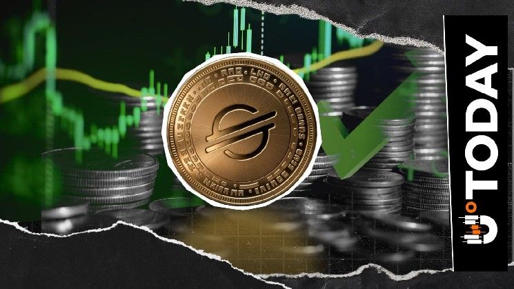 رئيس ستيلار يكشف عن موطن الفرصة الحقيقية في سوق العملات الرقمية: التفاصيل الكاملة
